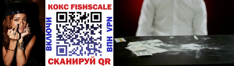 Купить закладки  Дубовка  Кокаин Fish Scale 