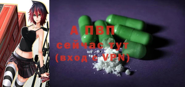 гидра Инсар