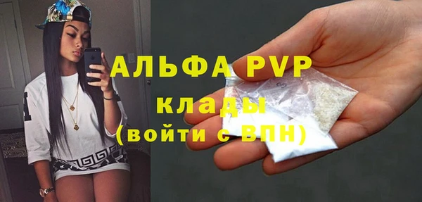 Альфа ПВП Инта