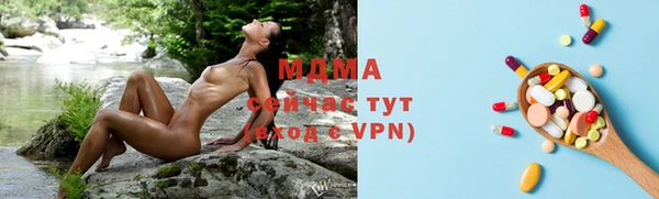 гидра Инсар