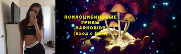 гидра Инсар