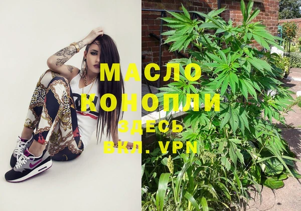 гидра Инсар
