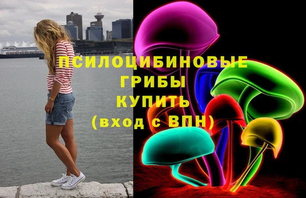 гидра Инсар