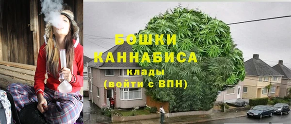гидра Инсар