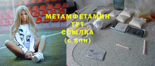 гидра Инсар