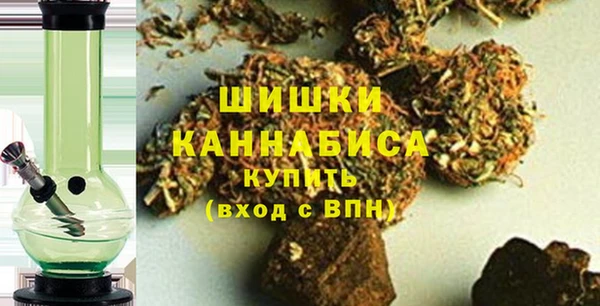 гидра Инсар