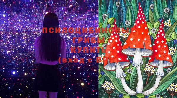 jwh Иннополис