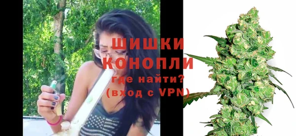 Альфа ПВП Инта