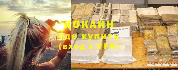 Альфа ПВП Инта