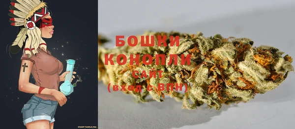 гидра Инсар